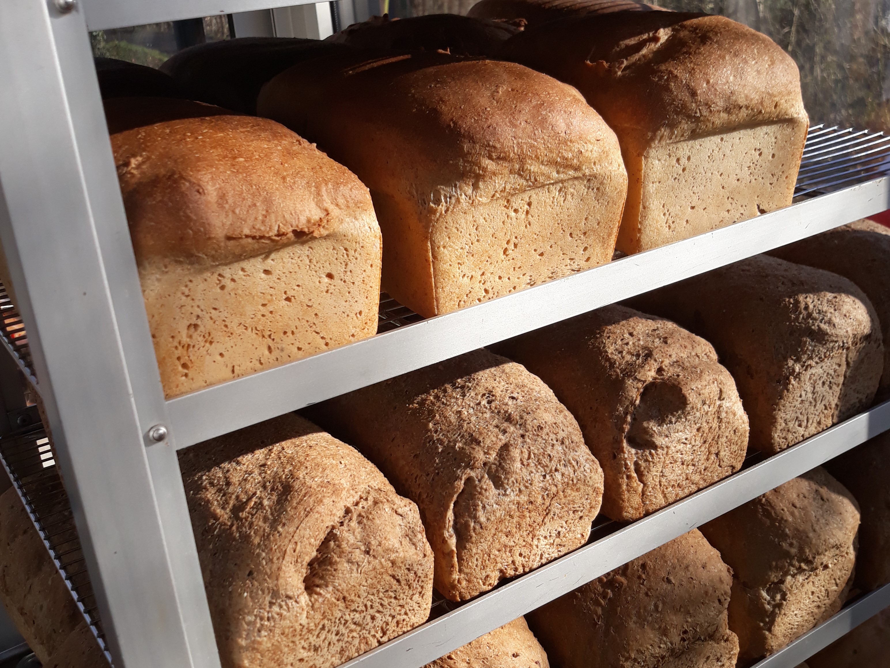 Vers ambachtelijk speltbrood van Bakkerij Hans